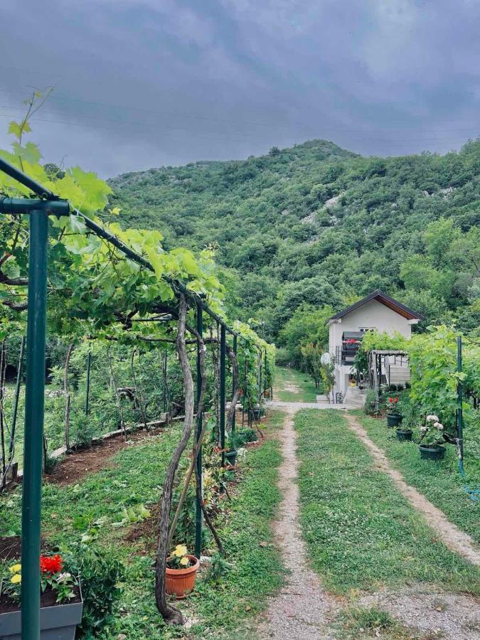 Apartments Stella Virpazar Dış mekan fotoğraf